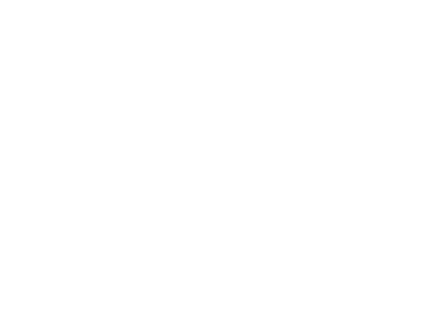 Perspection Spirits